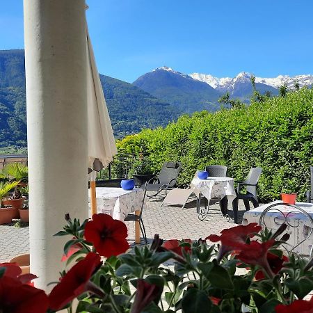B&B Il Grappolo Bianzone Zewnętrze zdjęcie