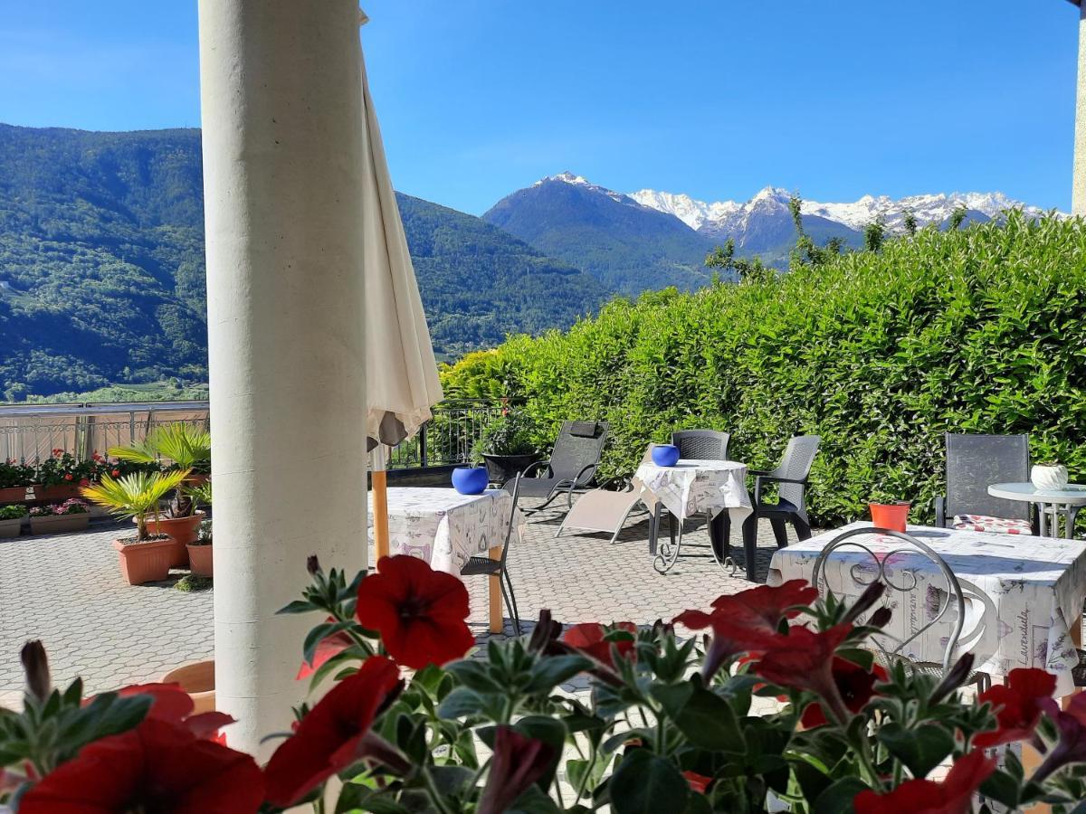 B&B Il Grappolo Bianzone Zewnętrze zdjęcie