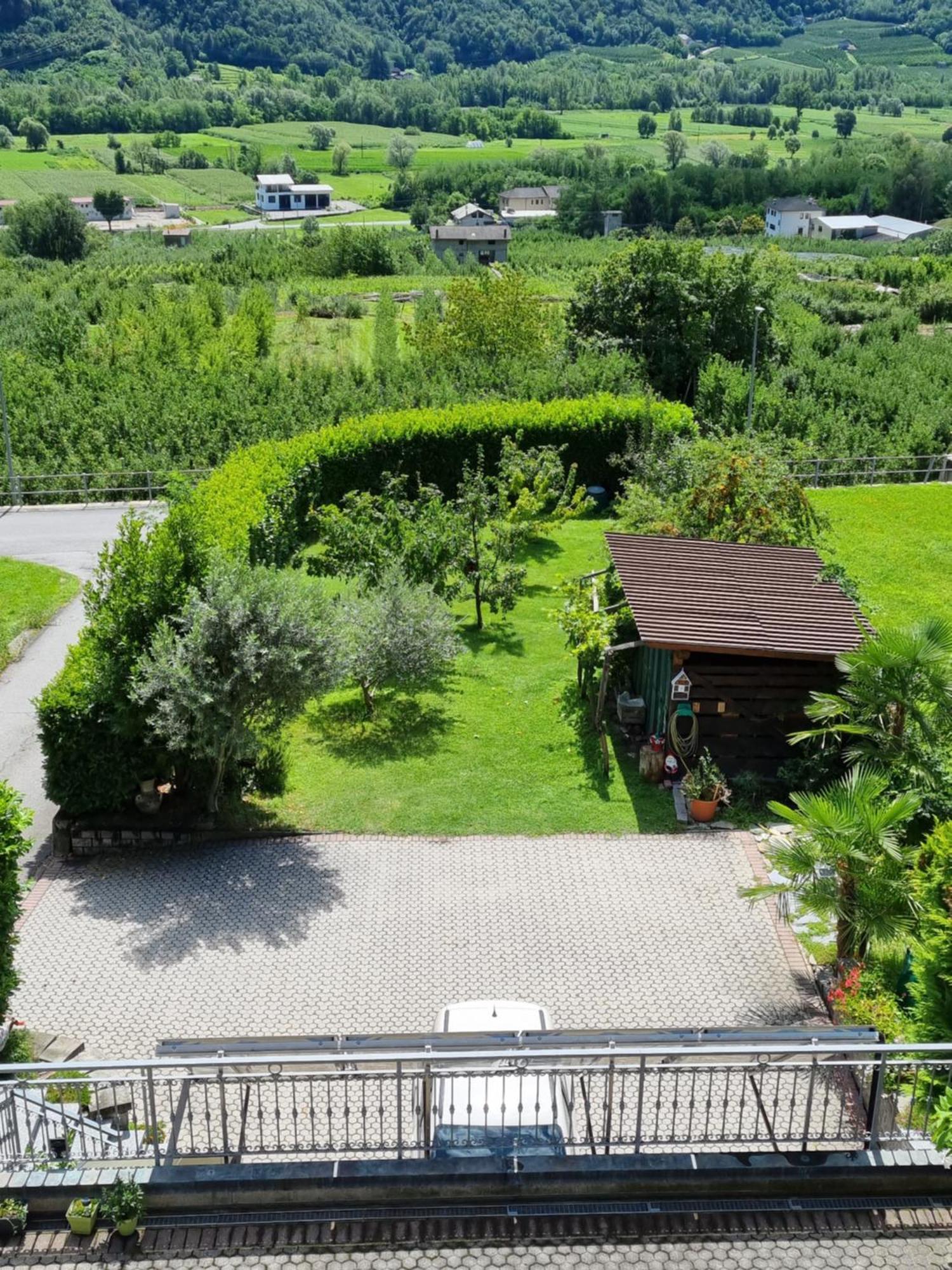 B&B Il Grappolo Bianzone Zewnętrze zdjęcie