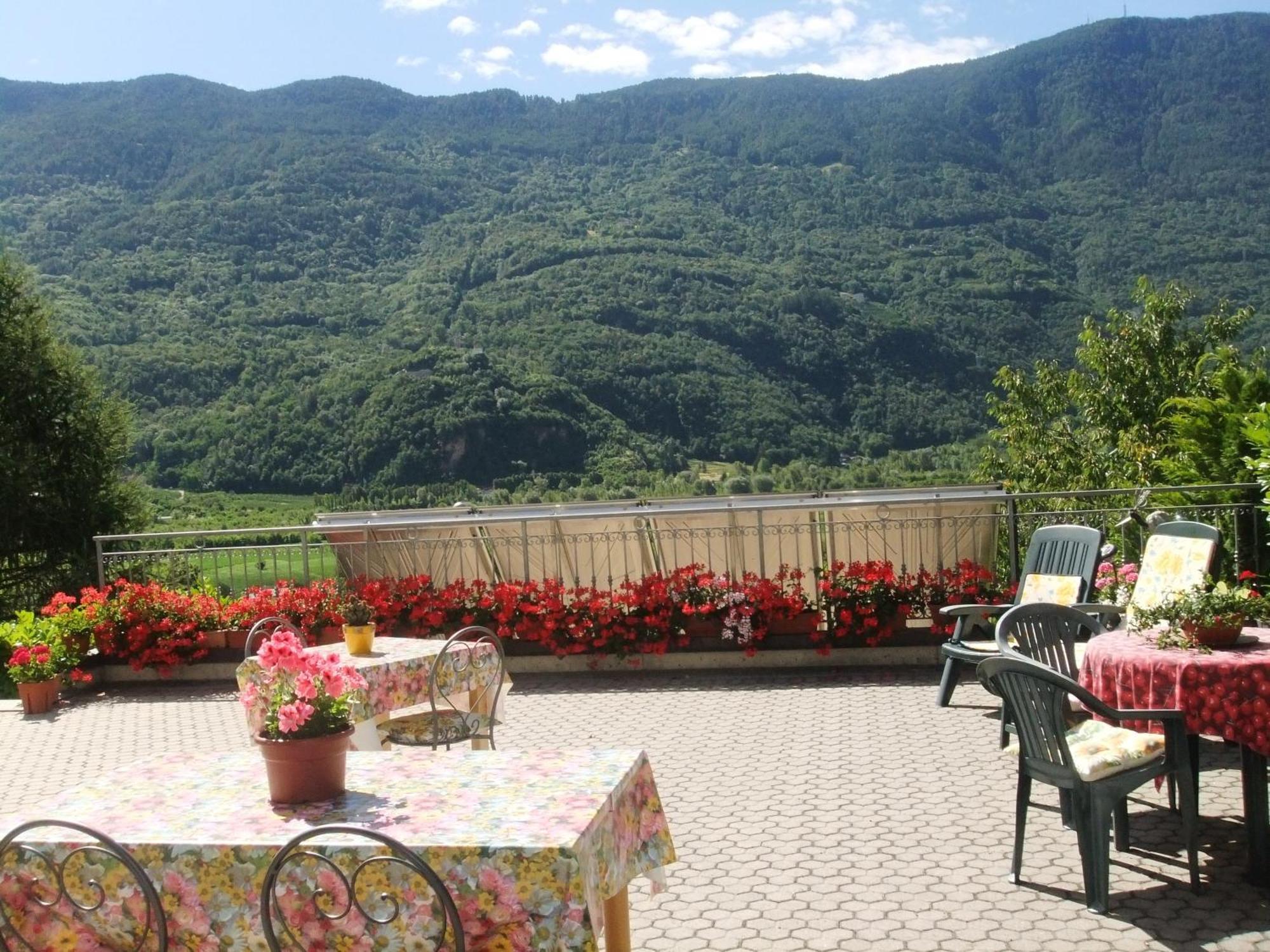 B&B Il Grappolo Bianzone Zewnętrze zdjęcie
